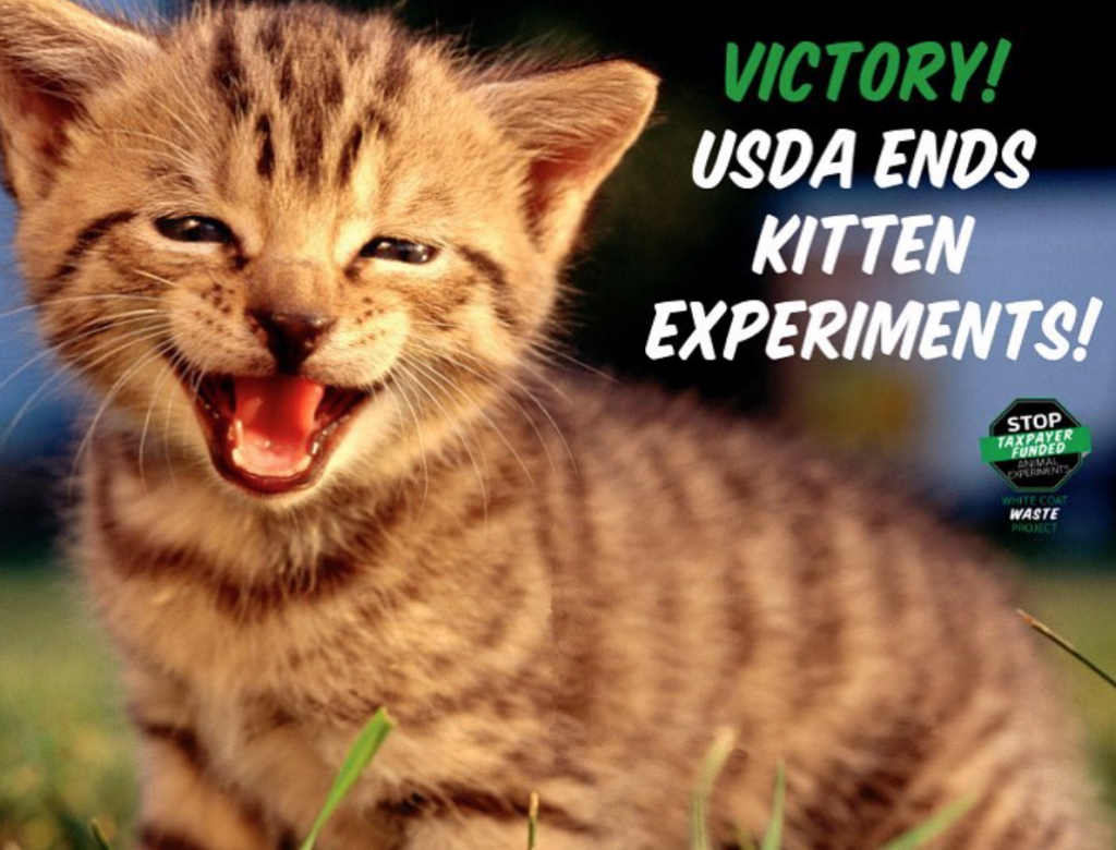 Victory USDA Ends Kitten Experiments Gregory J. Reiter Memorial Fund(01)