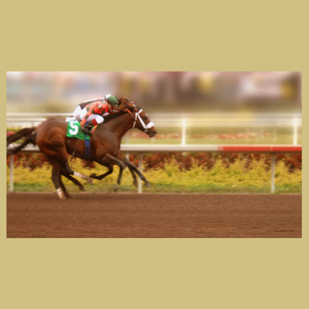 2021 Top 10 for Animals and People - Gregory J. Reiter Memorial Fund