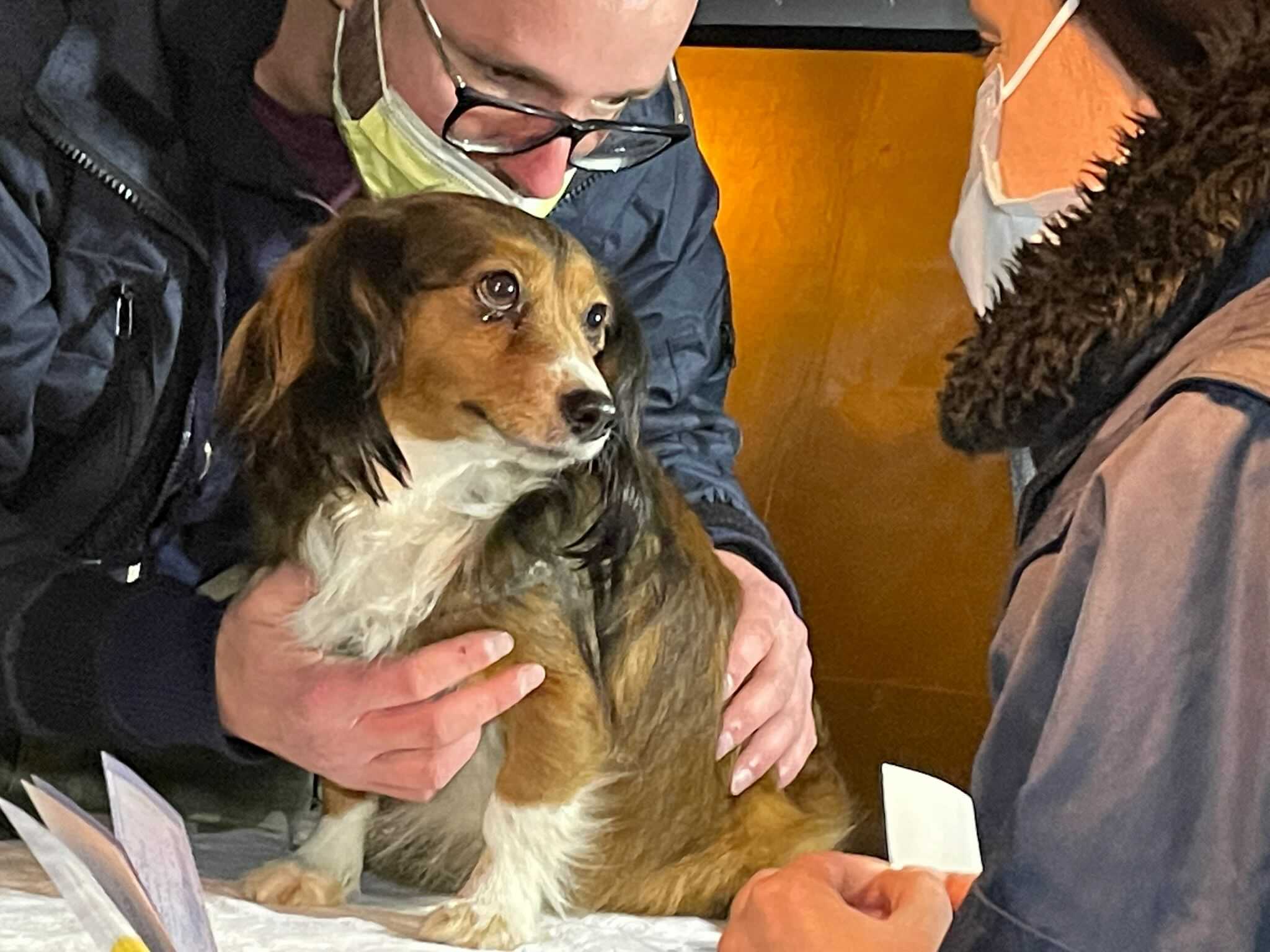 PETA partner clinic at the Romanian border https://www.peta.org/blog/peta-germany-helps-ukraine-animals/