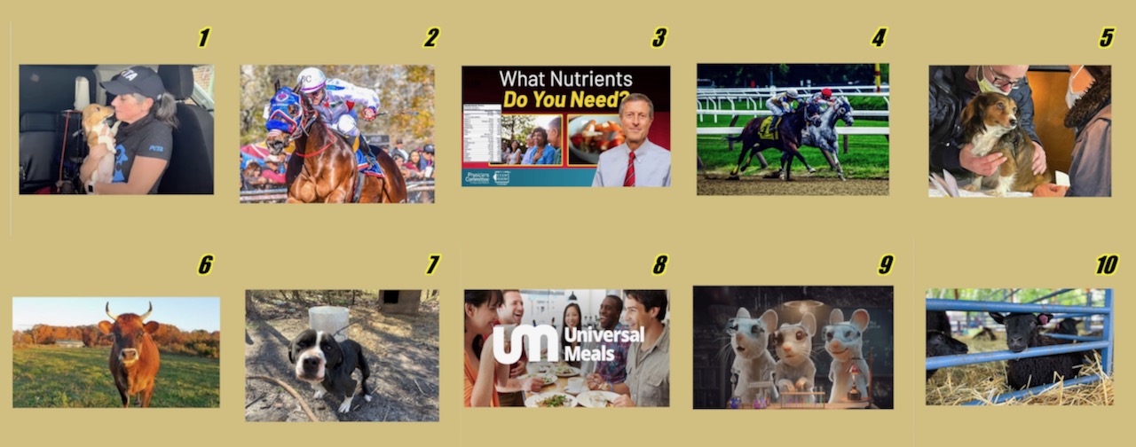 2022 Top Ten Collage